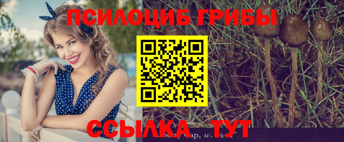 Сосновоборск  Псилоцибиновые грибы GOLDEN TEACHER  Вход с VPN 